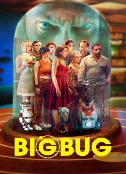 BigBug flemmix