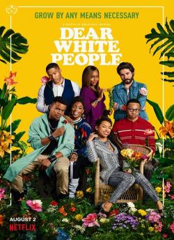 Dear White People - Saison 3 flemmix
