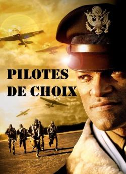 Pilotes de choix flemmix