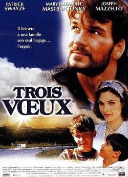 Trois voeux flemmix