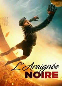 L'araignée noire flemmix
