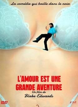 L'Amour est une grande aventure flemmix