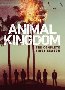 Animal Kingdom - Saison 1 flemmix