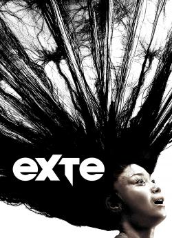 Exte flemmix