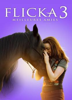 Flicka 3 : Meilleures amies wiflix