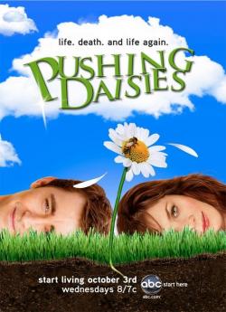 Pushing Daisies - Saison 1 flemmix