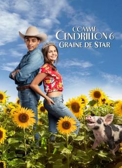 Comme Cendrillon 6 : Graine De Star flemmix