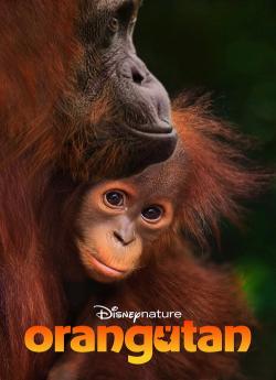 Orang-outan flemmix