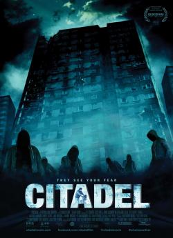 Citadel flemmix
