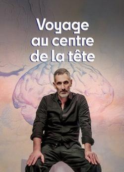Voyage au centre de la tête - Saison 1 flemmix