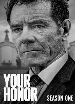 Your Honor - Saison 1 flemmix