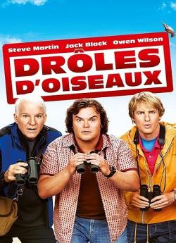 Drôles d'oiseaux flemmix
