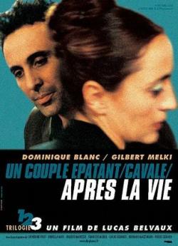 Après la vie flemmix