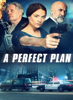 A Perfect Plan flemmix
