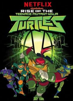 Le Destin des Tortues Ninja - Saison 1 flemmix