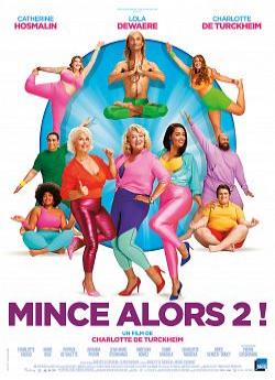 Mince alors 2 ! flemmix