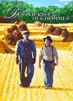 Des souris et des hommes flemmix