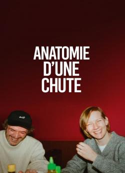 Anatomie d'une chute flemmix
