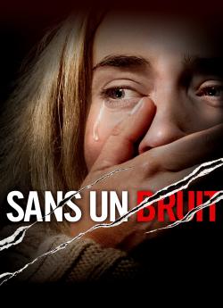 Sans un Bruit flemmix