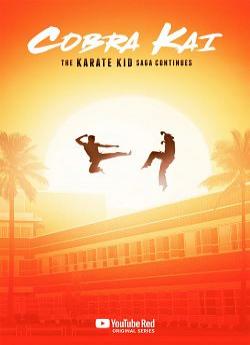 Cobra Kai - Saison 3 flemmix