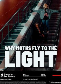 Why Moths Fly to the Light? flemmix