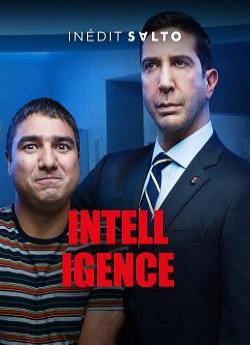 Intelligence - Saison 2 flemmix