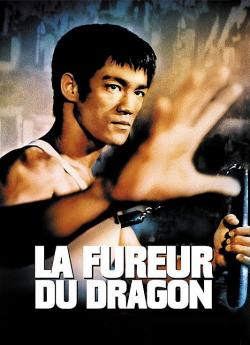 La Fureur du dragon flemmix