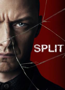 Split flemmix