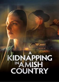 Secrets en pays Amish flemmix
