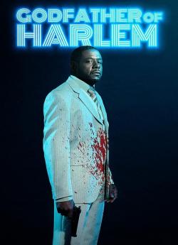 Godfather of Harlem - Saison 2 flemmix