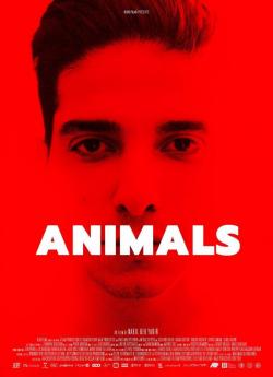 Animals flemmix