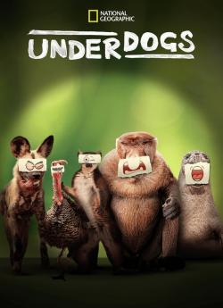 Les outsiders du monde animal - Saison 1 flemmix