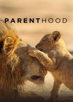 Parenthood - Saison 1 flemmix