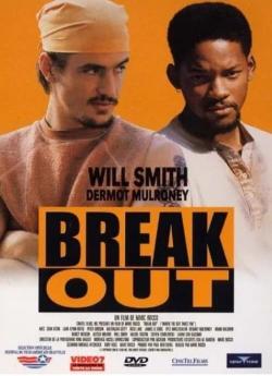 Break out flemmix