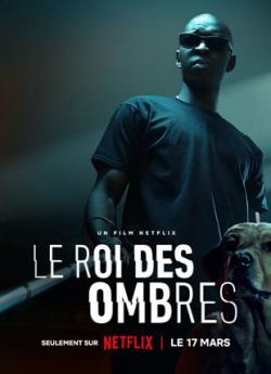Le Roi des Ombres flemmix