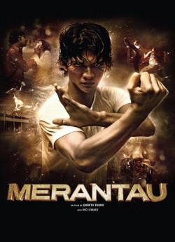 Merantau flemmix