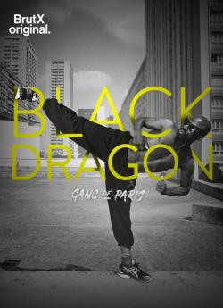Gang de Paris : Black Dragon - Saison 1 flemmix
