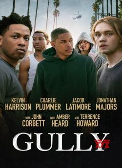 Gully flemmix