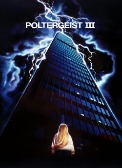 Poltergeist 3 flemmix