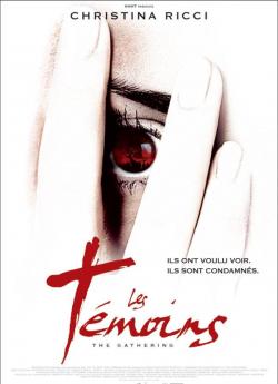Les Témoins flemmix