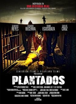Plantados (2022)