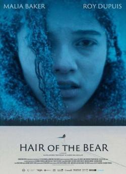 La peau de l'ours wiflix