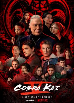 Cobra Kai - Saison 5 flemmix
