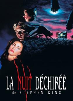 La Nuit déchirée flemmix