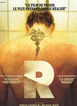 R (2010) flemmix