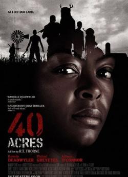40 Acres flemmix
