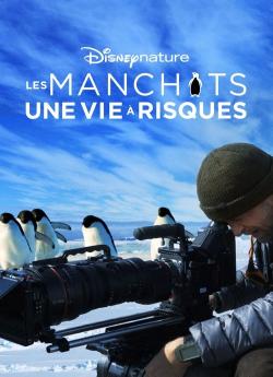 Les Manchots : une vie à risques flemmix