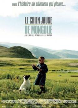 Le chien jaune de Mongolie flemmix
