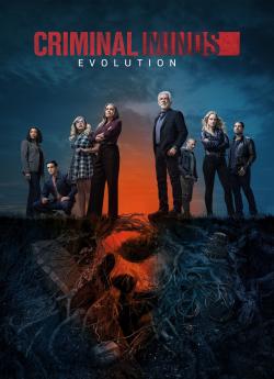 Esprits Criminels : Evolution - Saison 3 flemmix
