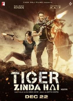 Tiger Zinda Hai flemmix